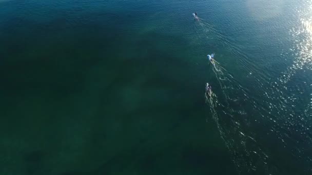 Vue Aérienne Des Paddle Boarders Profitant Eau Cristalline Plate Calme — Video