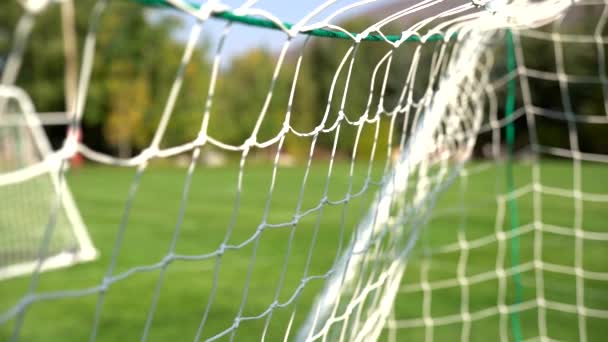 Pelota Fútbol Golpeando Red Cámara Lenta — Vídeo de stock