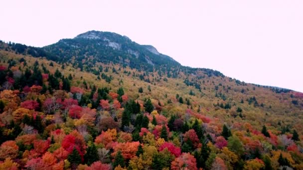 Herfst Bladeren Bij Grootvader Mountain Grootvader Mountain North Carolina — Stockvideo