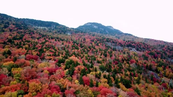 Список Викопних Птахів Fall Colors Grandfather Mountain North Carolina Aerial — стокове відео