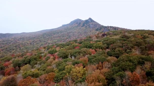 Fall Foliage Grandfather Mountain North Carolina Leaves Change Color Aerial — стокове відео