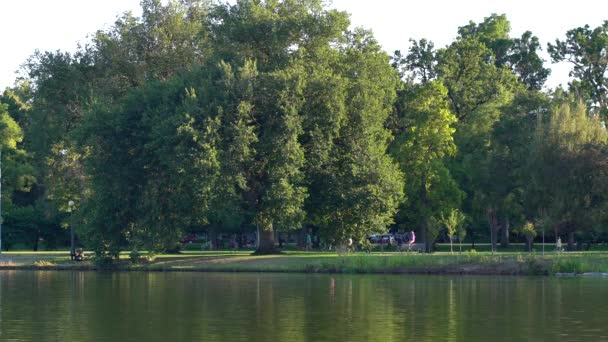 Ludzie Spacerujący Jeżdżący Rowerze Denver City Park — Wideo stockowe