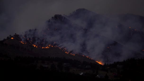 Incêndio Madeira Norte Colorado 2020 — Vídeo de Stock