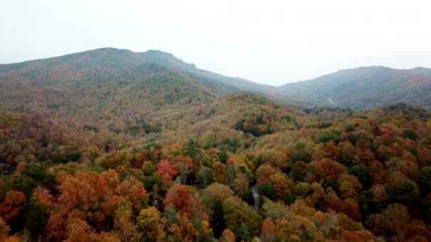 Гора Дідусь Distance Aerial Grandfather Mountain North Carolina — стокове відео