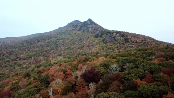 Grootvader Mountain Luchtdruk Herfstkleuren Bladkleur Bladverandering Grootvader Mountain North Carolina — Stockvideo