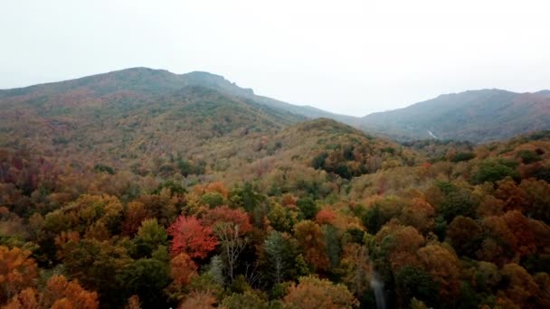 Fall Colors Grandfather Mountain Grandfather Mountain North Carolina Aerial — стокове відео