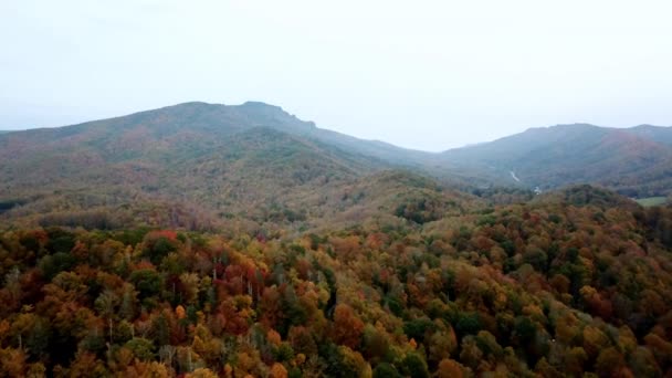 Herfst Kleuren Bij Grootvader Mountain Grootvader Mountain North Carolina Leaf — Stockvideo