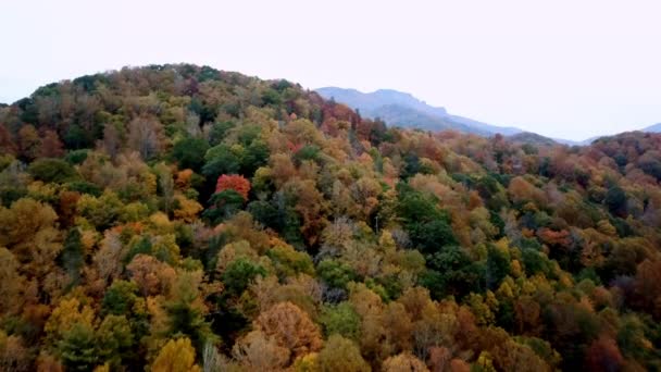 Grootvader Mountain Grootvader Mountain North Carolina — Stockvideo