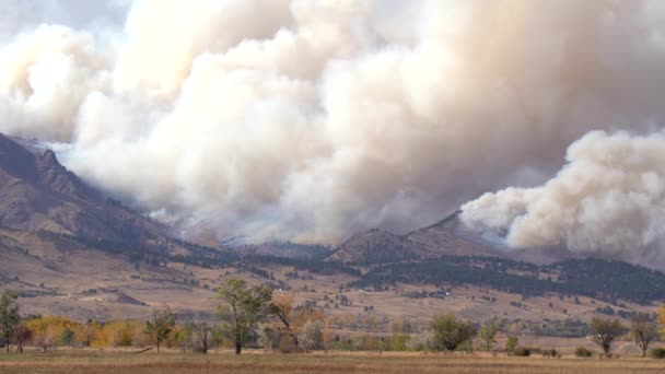 Fuego Calwood Ardiendo Frente Del Norte Colorado — Vídeos de Stock