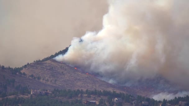 科罗拉多北部前线的卡尔伍德大火 — 图库视频影像