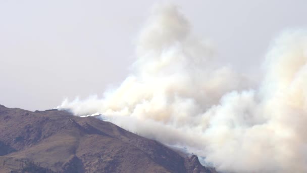 Kuzey Colorado Nun Cephelerinde Calwood Ateşi Yanıyor — Stok video