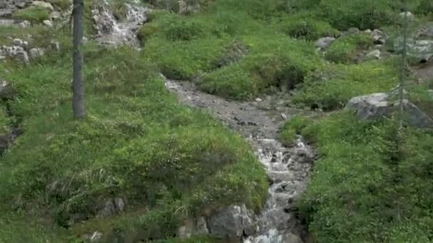 Mały Górski Potok Patrzał Dochodzący Wielkiej Góry Lesie Pobliżu Jeziora — Wideo stockowe
