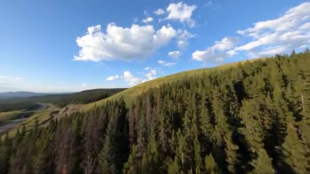 Snímek Bezpilotního Letounu Zalesněné Oblasti Následovaný Nedávno Odlesněnou Oblastí Natočenou — Stock video