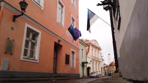 Estonya Avrupa Birliği Bayrakları Rüzgarlı Bir Sonbahar Gününde Tallinn Şehir — Stok video