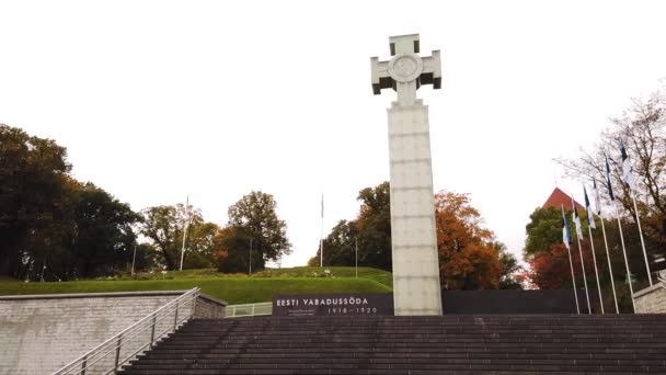 Monumento Moderno Independencia Estonia Plaza Libertad Tallin Estonia Panorámica Tiro — Vídeo de stock