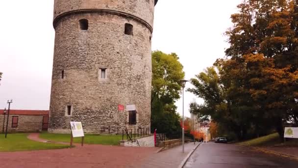 Kanontoren Die 15E Eeuw Werd Gebouwd Een Museum Tallinn Estland — Stockvideo