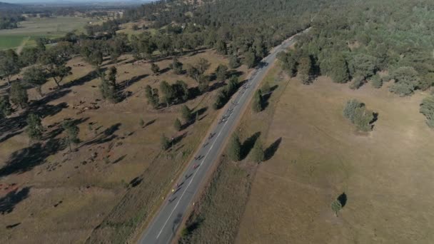 Aerial View Large Group Cyclists Taking Hill Climb Popular Gears — Stock Video