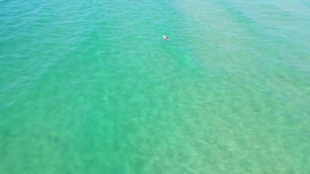 Surfista Sentado Prancha Flutuando Água Azul Palm Beach Gold Coast — Vídeo de Stock