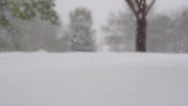 Zpomalený Záběr Kroků Nohou Sněhu — Stock video