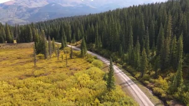 Droppbild Ett Gyllene Fält Telluride Colorado — Stockvideo