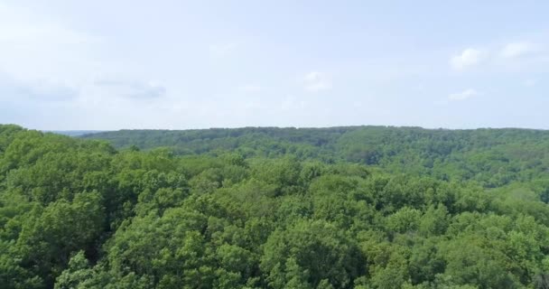 Impresionante Vuelo Sobre Bosque Con Dosel Debajo — Vídeos de Stock
