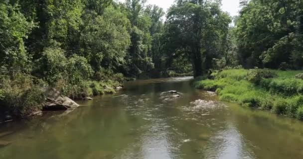 没有什么比被包围的小溪的美丽镜头更能说明夏天的来临了 — 图库视频影像
