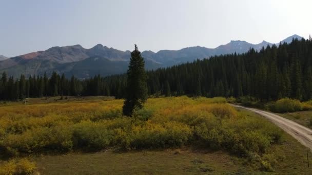 Gyllene Fältet Telluride Colorado Dra Skott Ett Träd Skott Mavic — Stockvideo