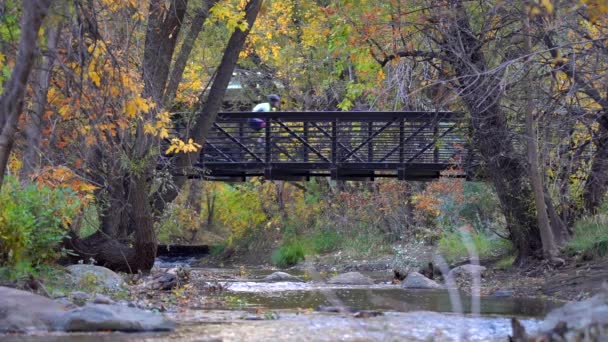 Andar Bicicleta Caminho Boulder Creek Câmera Lenta — Vídeo de Stock