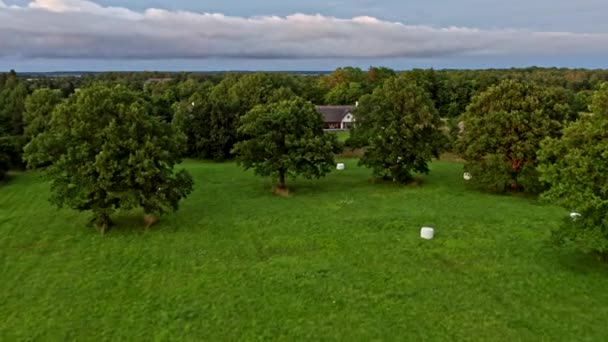 在一片橡树上飞奔向一座乡间房屋 — 图库视频影像