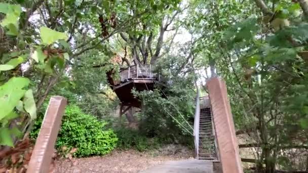 Потрясающий Низкоугольный Снимок Деревянного Форта Посреди Леса Франции — стоковое видео