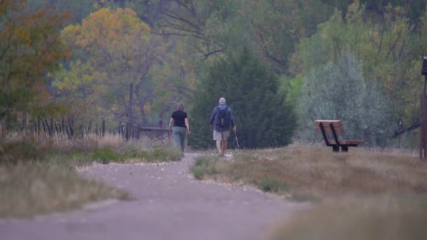 People Walking Trail Green Forest — Stock Video