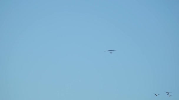 蓝天的滑翔机 — 图库视频影像