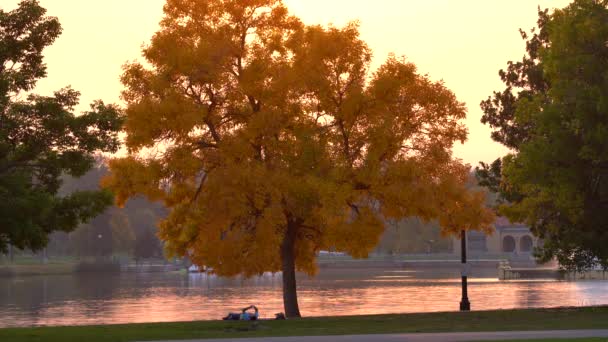 Färger Faller Stadsparken Denver Colorado — Stockvideo