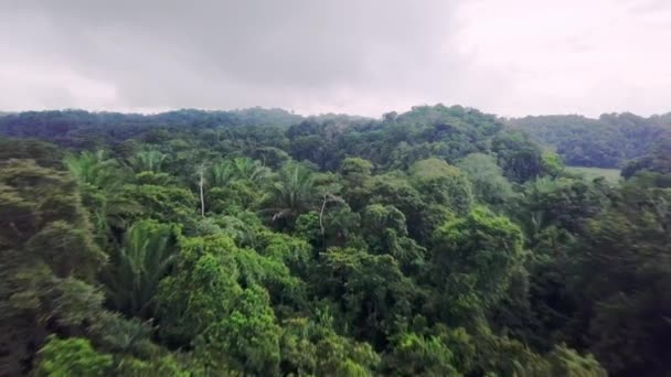 Vista Aérea Del Dron Selva Tropical Campo Panamá Casa Flotante — Vídeos de Stock