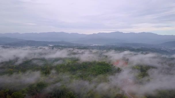 Vista Aérea Carretera Que Atraviesa Selva Cubierta Niebla Exuberante Cordillera — Vídeos de Stock