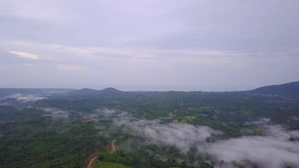 Vue Aérienne Route Travers Jungle Foggy Jungle Forêt Tropicale Haut — Video