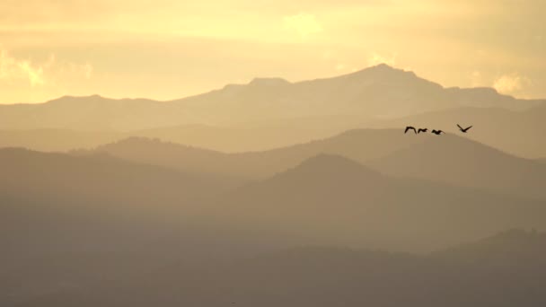 Manada Gansos Volando Sobre Fondo Montañas — Vídeos de Stock