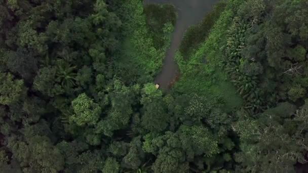 Barca Safari Giungla Amazzonia Esotica Natura Paesaggio Fiume Aerea — Video Stock