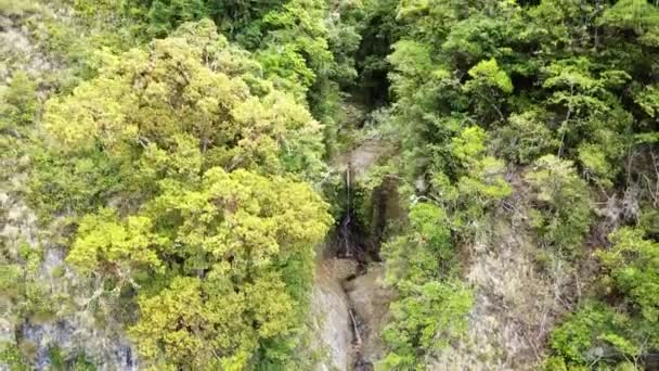 Cascata Tropicale Sulla Scogliera Circondata Dalla Foresta Pluviale — Video Stock