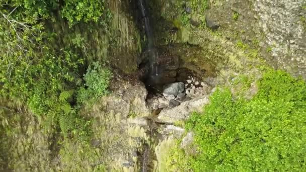 Aerial View Small Tropical Waterfall Rainforest — Stock Video