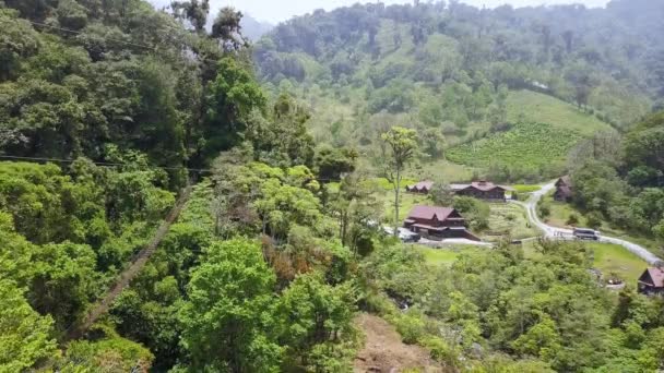 Person Riding Zipline Jungle Tree Environment Panama Aerial — Stock Video