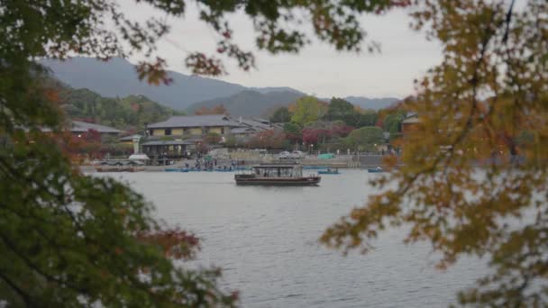 Arashiyama Kyoto Japão Queda Deixa Moldura Rio Como Barcos Passam — Vídeo de Stock