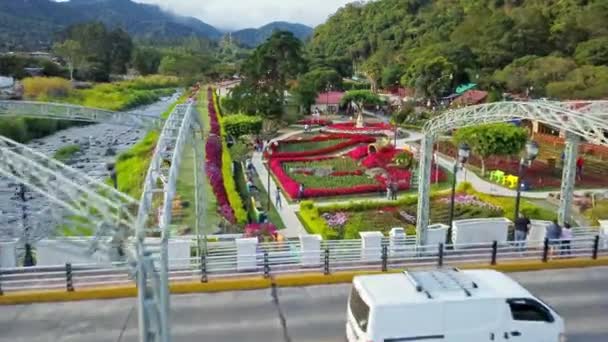 Pemandangan Udara Pengunjung Taman Bunga Berwarna Warni Taman Bunga Yang — Stok Video