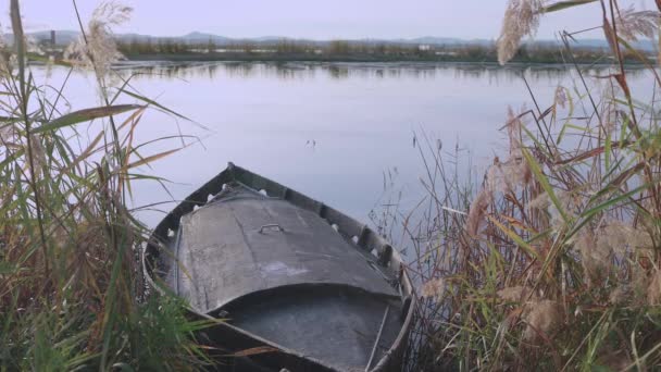 Traditionell Gammal Båt Dockas Vid Canfield Albufera Sjön Nära Valencia — Stockvideo