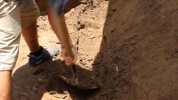 Ένας Εργάτης Σκάβει Ένα Φτυάρι Σκάψιμο Φτυάρι Ξηράς Γης — Αρχείο Βίντεο