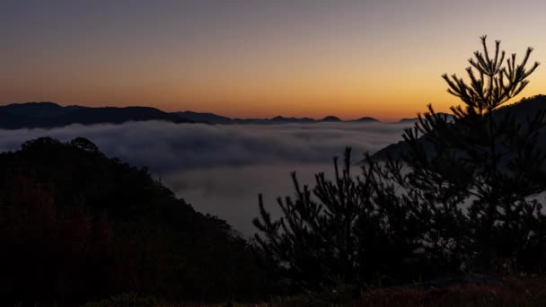 Matahari Terbit Istana Takeda Timelapse Awan Rolling Mountains — Stok Video