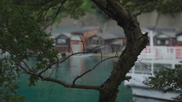 Kuzey Kyoto Daki Ine Cho Balıkçı Evleri Rack Odak Çekim — Stok video