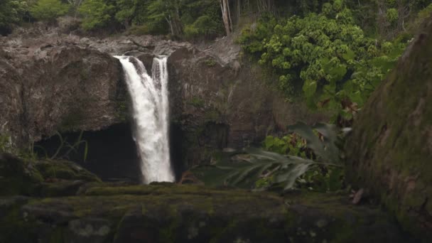 Waterfall Hawaii Wide Shot Capturing Top Section Rushing Waters Cascading — Stock Video