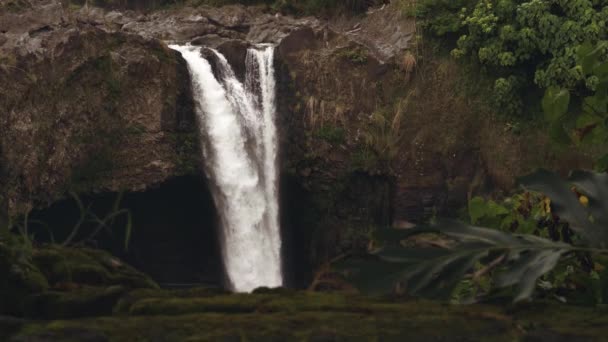 Hawaii Şelalesi Orta Boy Yakalandı Kayalar Ağaçlar Akan Akarsuların Etrafını — Stok video