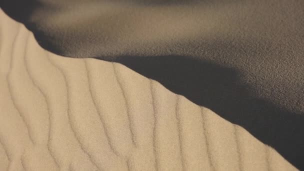 Песчаные Дюны Тоттори Медленный Пан Над Шаблонами Тенями — стоковое видео